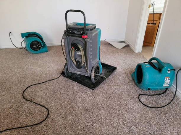 Best Water damage mitigation services  in Ellensburg, WA