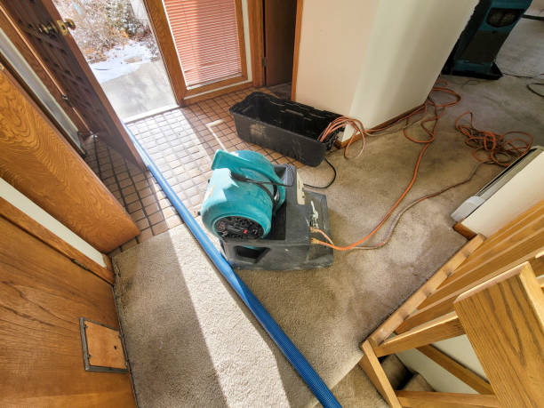 Best Professional water damage repair  in Ellensburg, WA