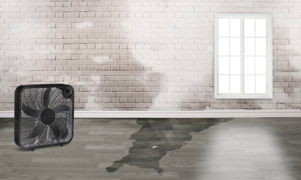 Best Emergency water damage restoration  in Ellensburg, WA