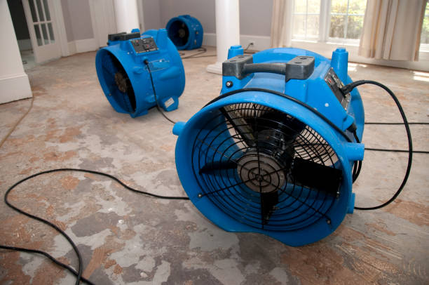 Best Local water damage restoration  in Ellensburg, WA