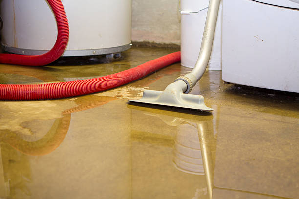 Best Fire Damage Restoration  in Ellensburg, WA