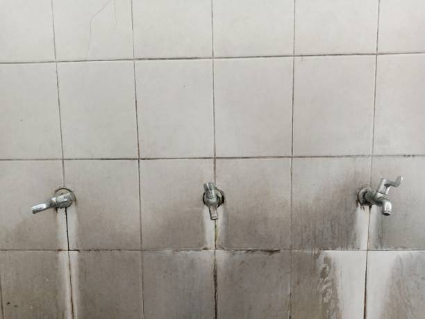 Best Water damage cleanup near me  in Ellensburg, WA