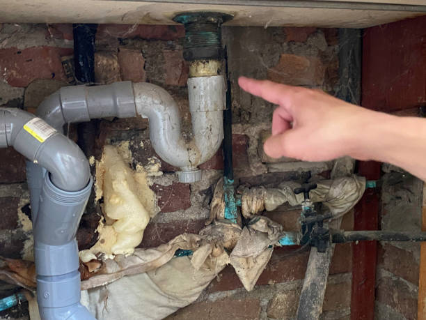 Best Carpet water damage restoration  in Ellensburg, WA